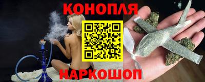 прущие крисы Кингисепп
