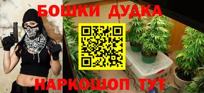 прущие крисы Кингисепп